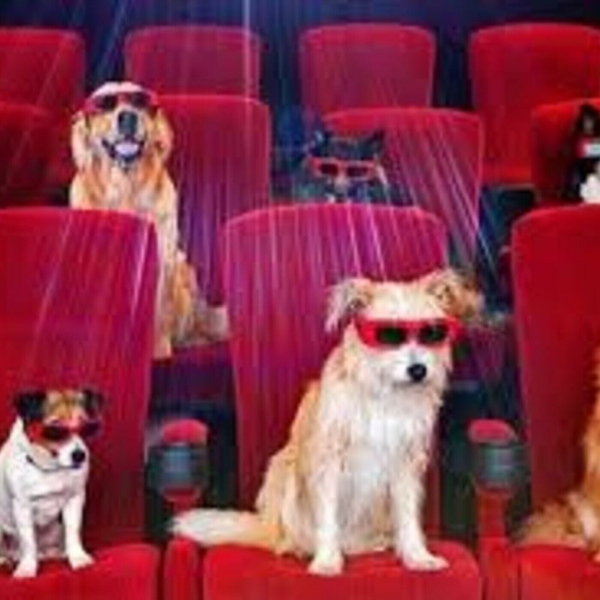 Dogs at the Movies? (1-23-19)