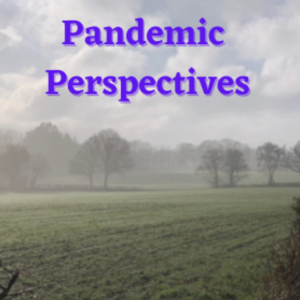 Pandemic Perspectives artwork