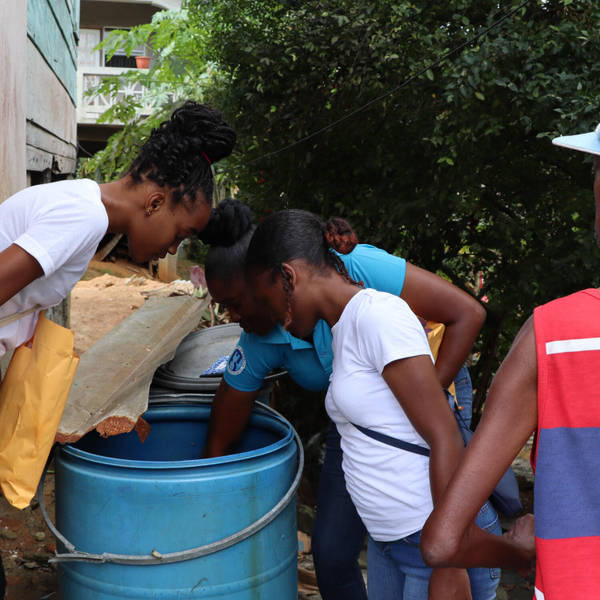 Residents of Dennery receive Education on Ways to Prevent and Eliminate Vector Breeding Sites artwork