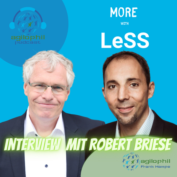 More with LeSS - Robert Briese im Interview artwork