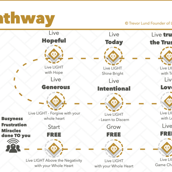 The overview of the Live LIGHT Pathway artwork