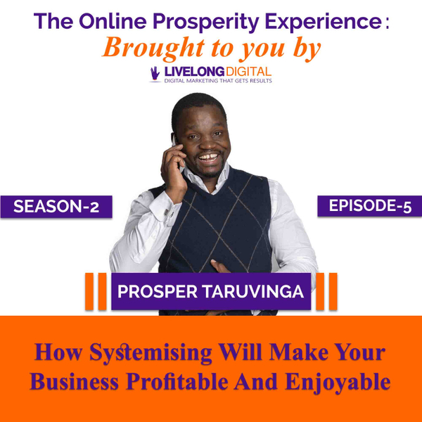 How Systemising Will Make Your Business Profitable And Enjoyable artwork