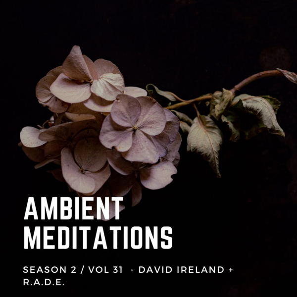 Magnetic Magazine Presents: Ambient Meditations - Vol 31 - David Ireland + R.A.D.E. artwork