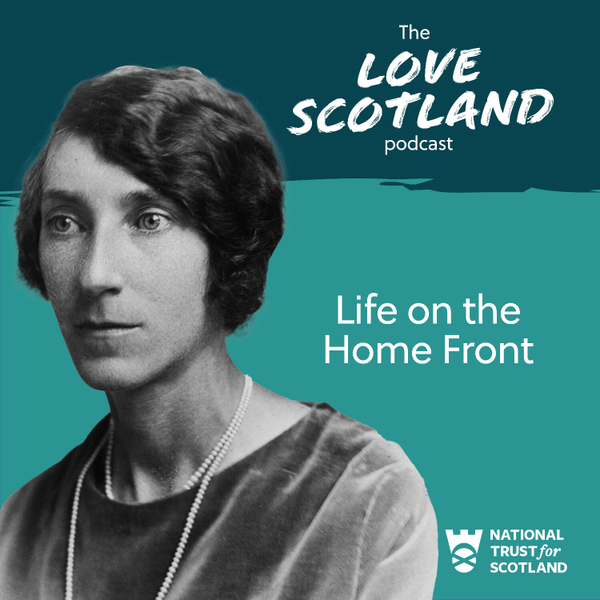 Life on the Home Front artwork