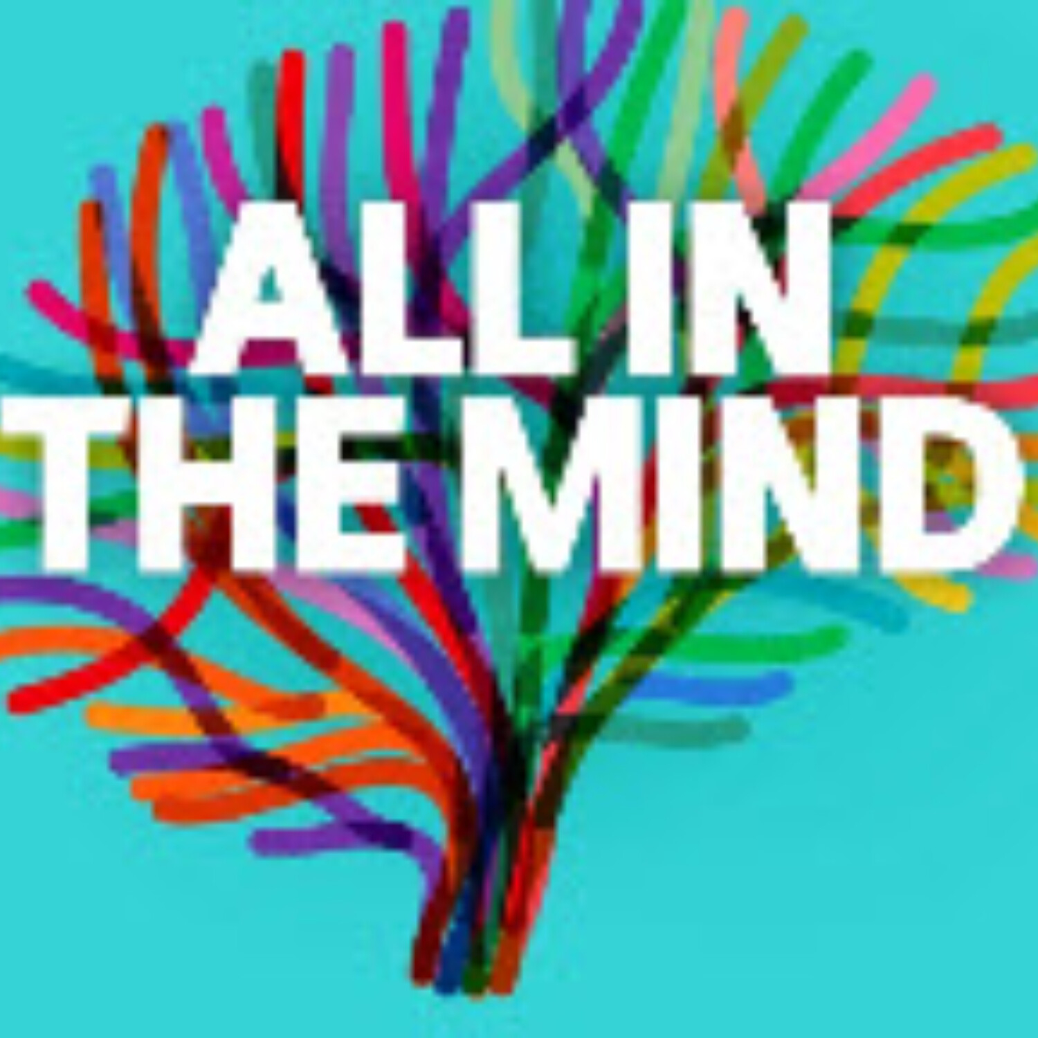 Is my inner voice driving me mad?