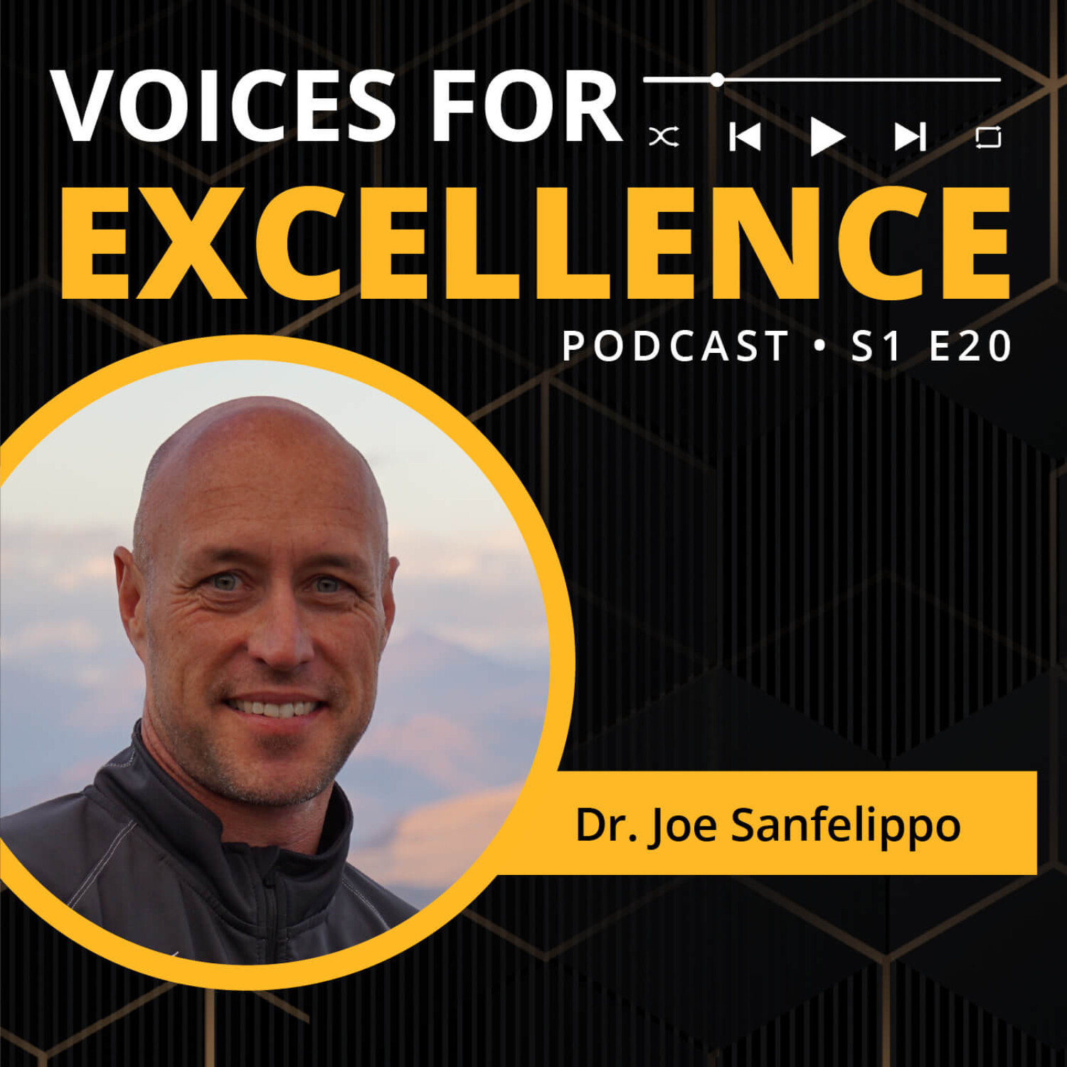 Voices for Excellence