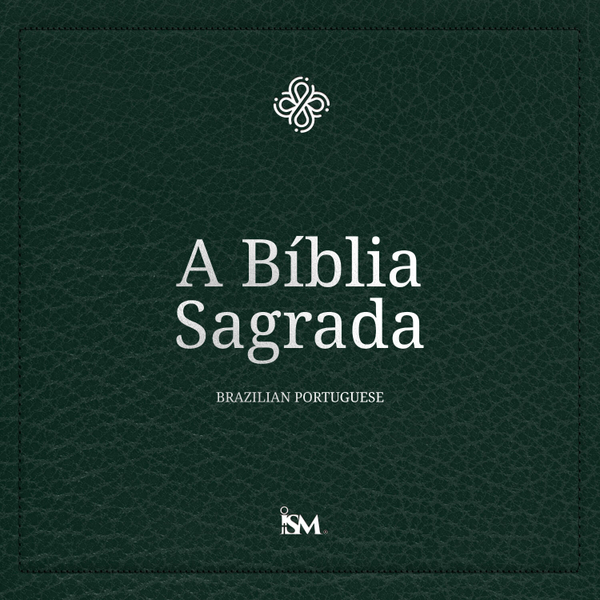 A Bíblia Sagrada – Português (Portuguese, Novo Testamento + Salmos e Provérbios) artwork