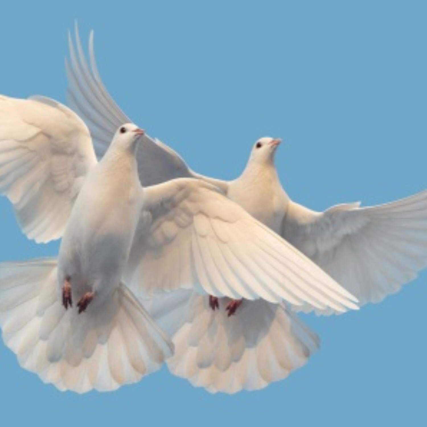 Bohu patří celý náš život