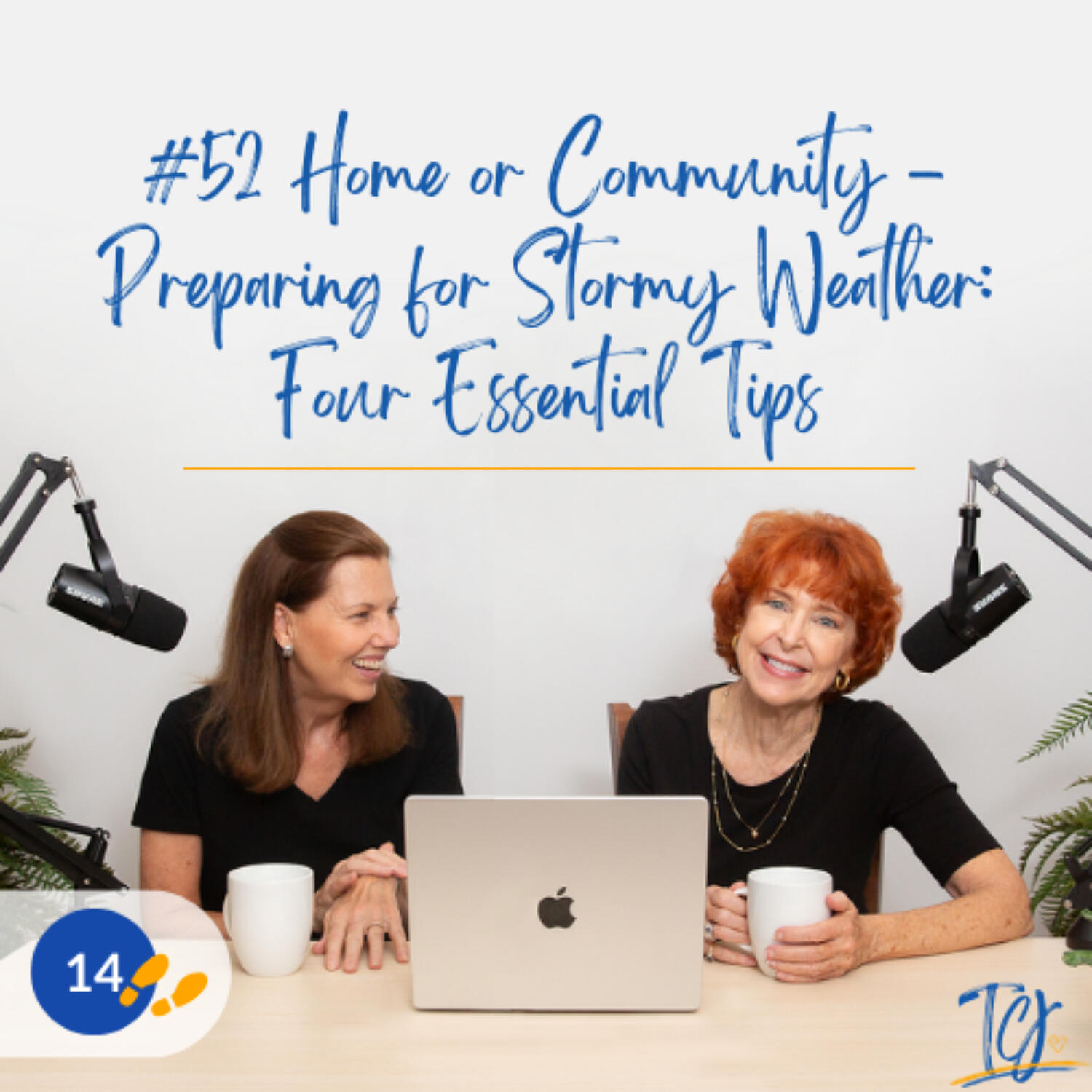 The Caregiver\'s Journey