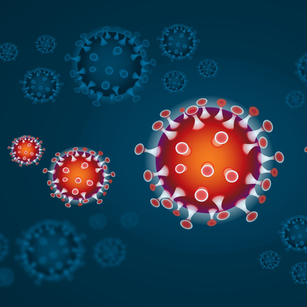 Kako koronavirus okuži človeško celico? artwork