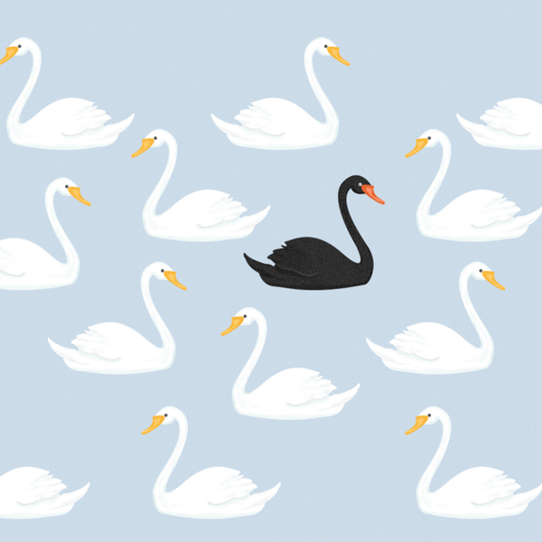 The Black Swan Book Introduction And Notes artwork