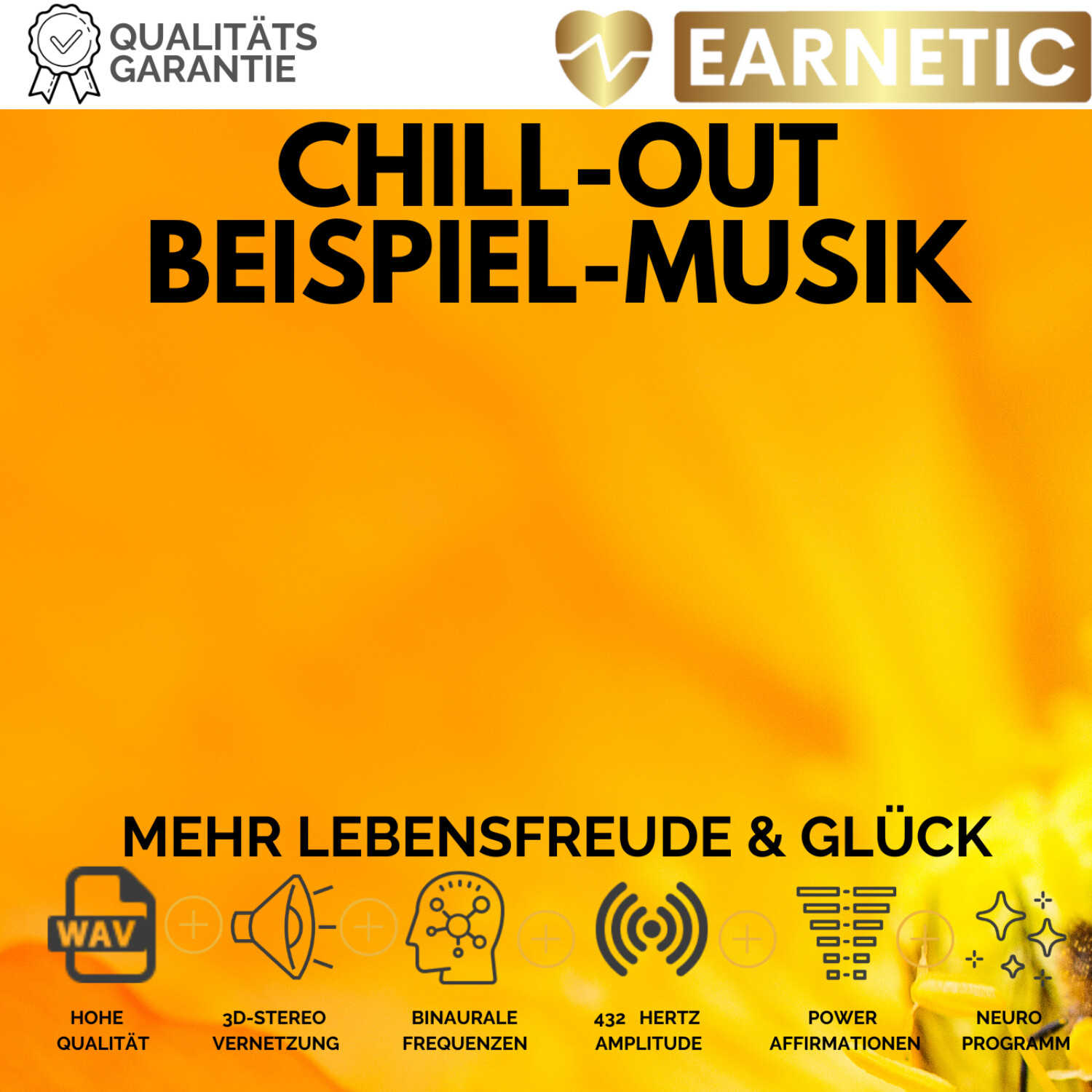 EARNETIC.de - Silent Subliminals & Neuromentalprogramme