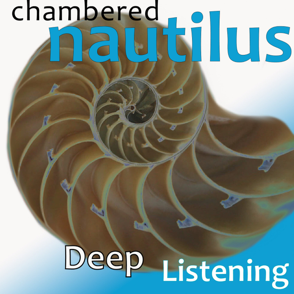 Chambered Nautilus artwork