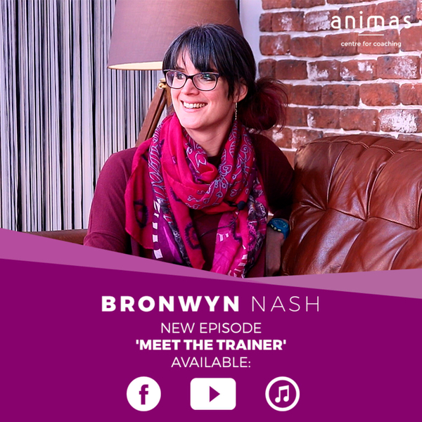 Bronwyn Nash - Coaching Supervision & Camper vans  artwork