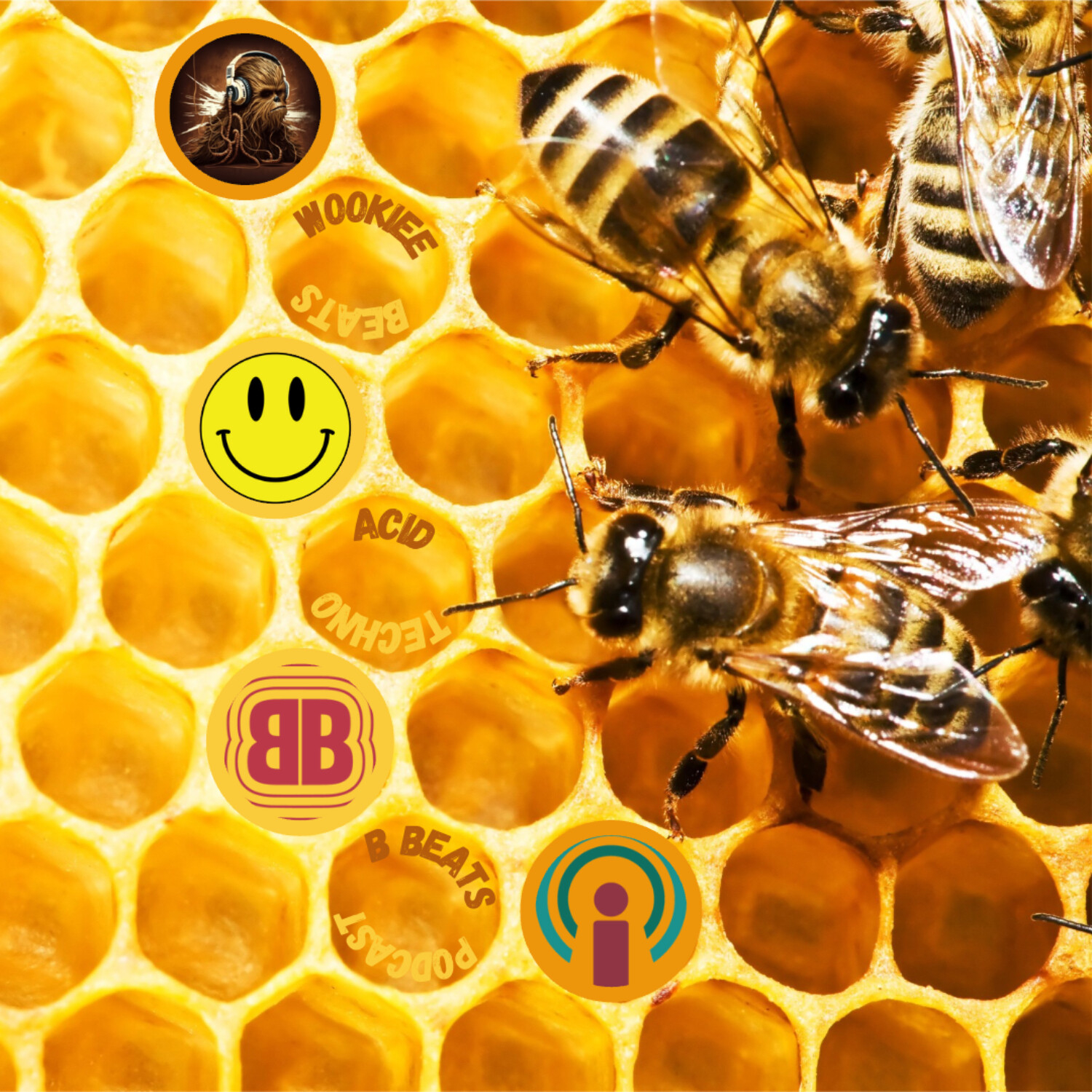 B BEATS ~ Podcast
