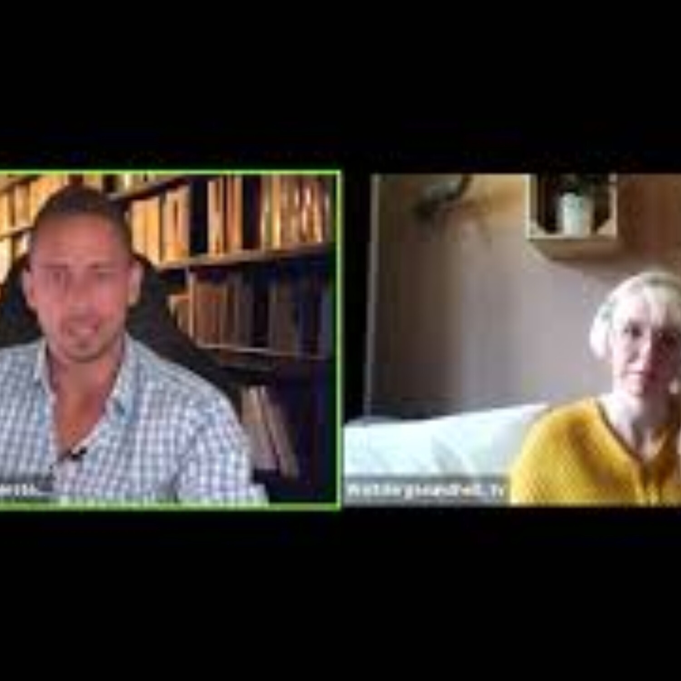 welt tv live welt tv live