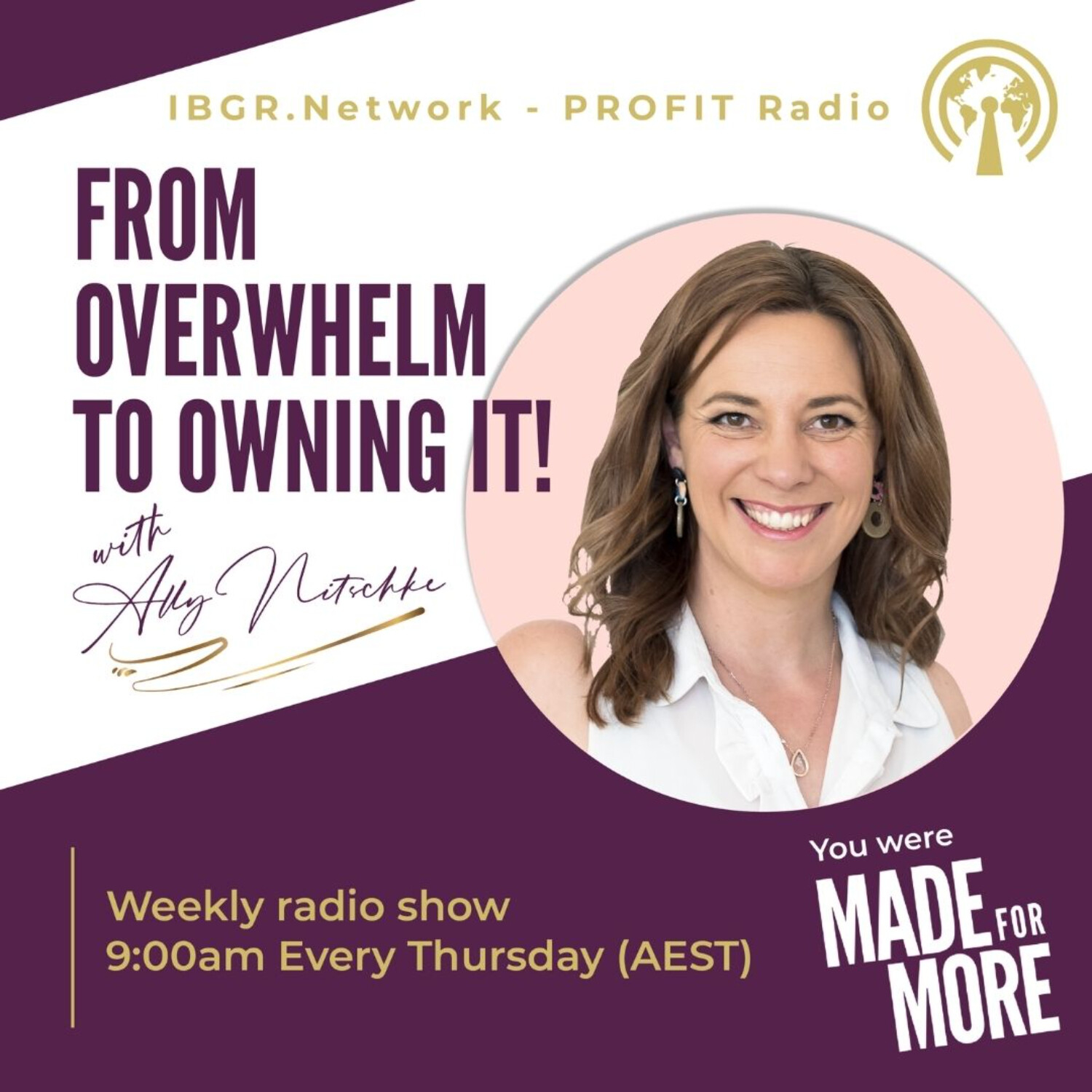 1.OVERWHELM TO OWNING IT SOLUTIONS FOCUSED - ALLY NITSCHKE episode artwork