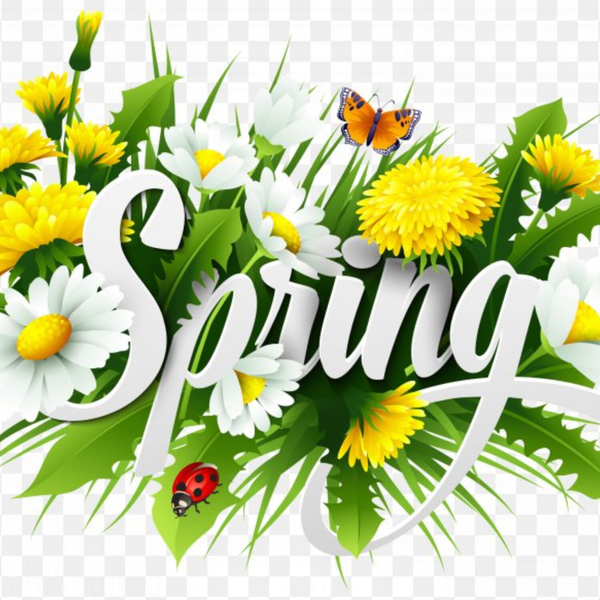 5 Health Benefits of Spring Season - My Diet Counsellor - Podcast.co