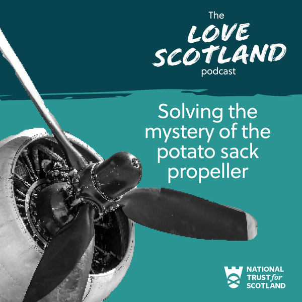 Solving the mystery of the potato sack propeller artwork