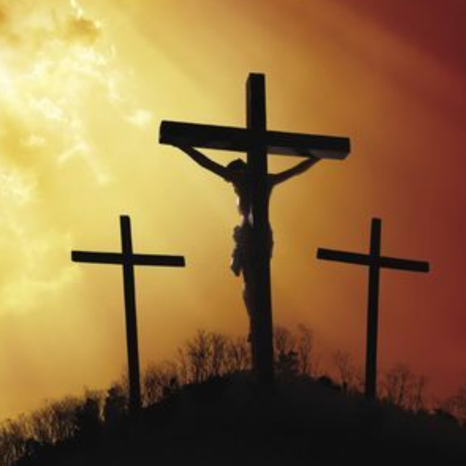 Vytrvat ve víře věrností Božímu slovu