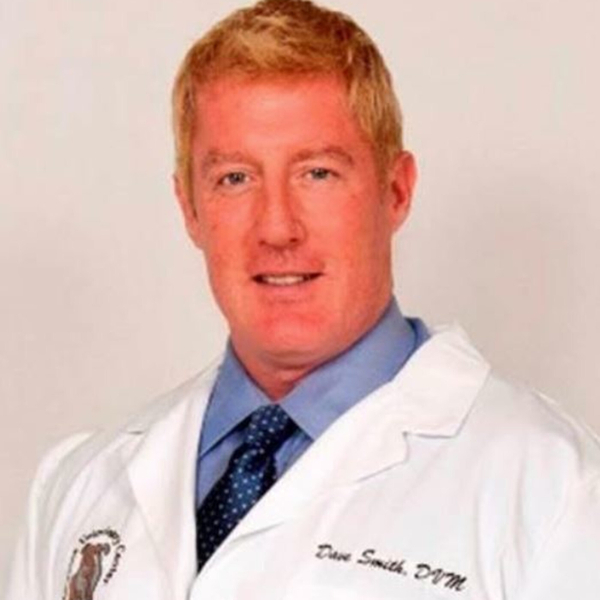 CANNABIS AND CBD CAN IT HARM YOUR PETS - DR DAVID SMITH artwork