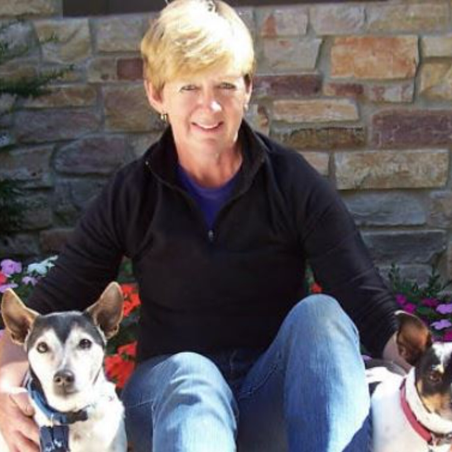 LET\'S TALK PETS - PATTY GIARRUSSO