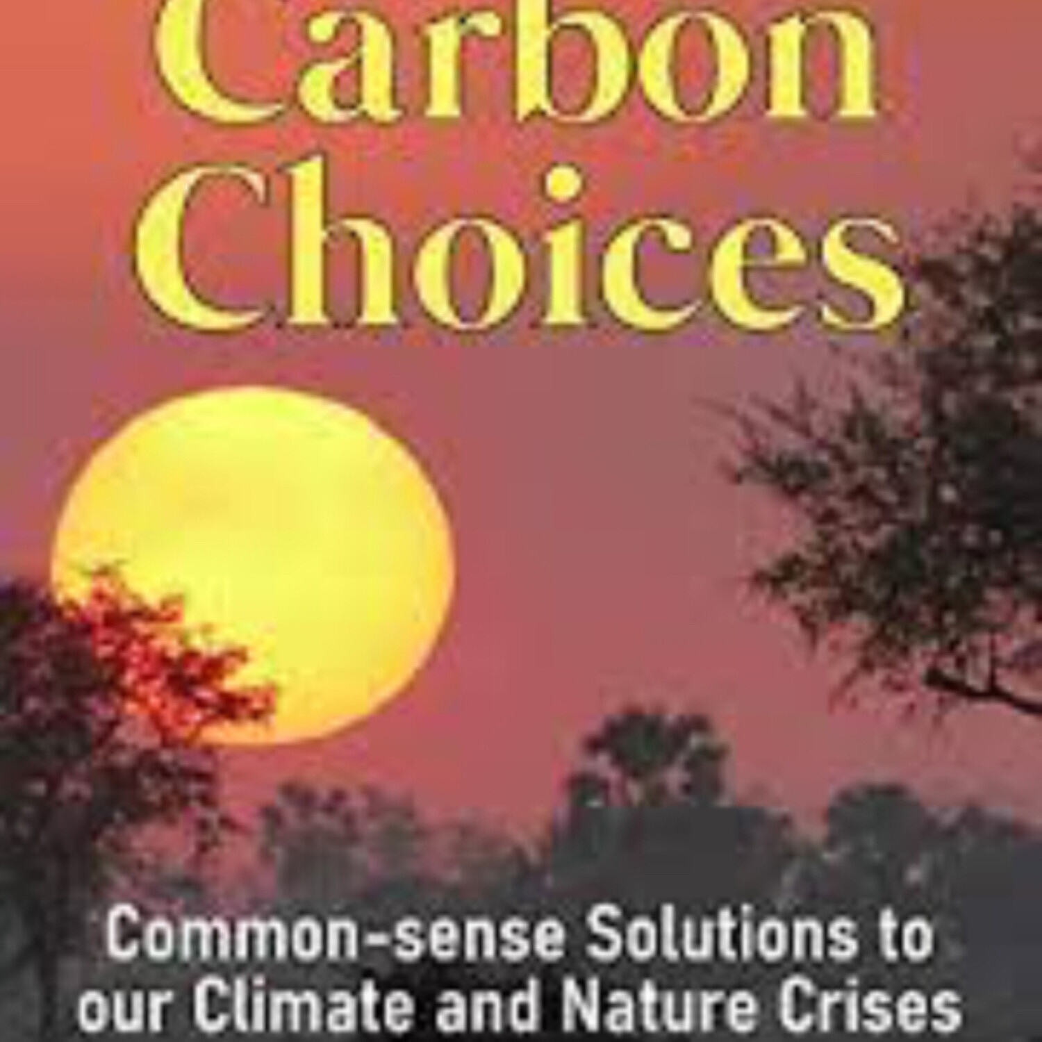 NEIL KITCHING, Energy Specialist/Author (8-16-21)
