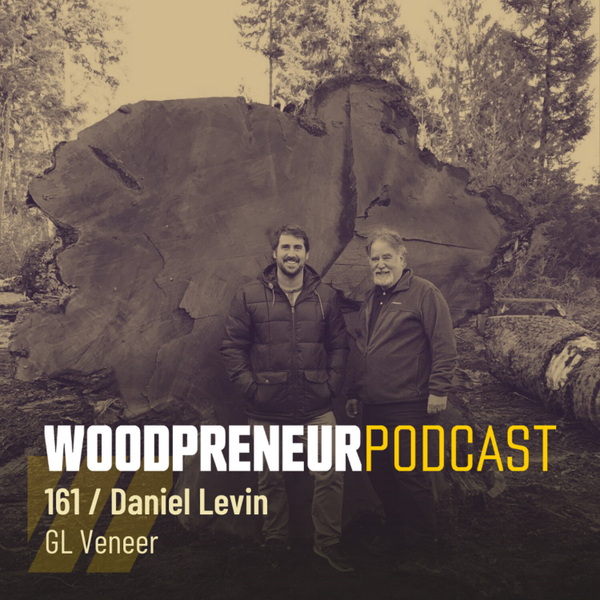 Daniel Levin: GL Veneer artwork