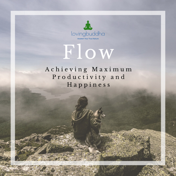 Flow State - How To Achieve Maximum Productivity and Happiness artwork