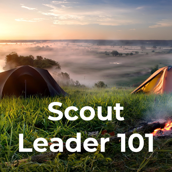 Scout Leader 101 artwork