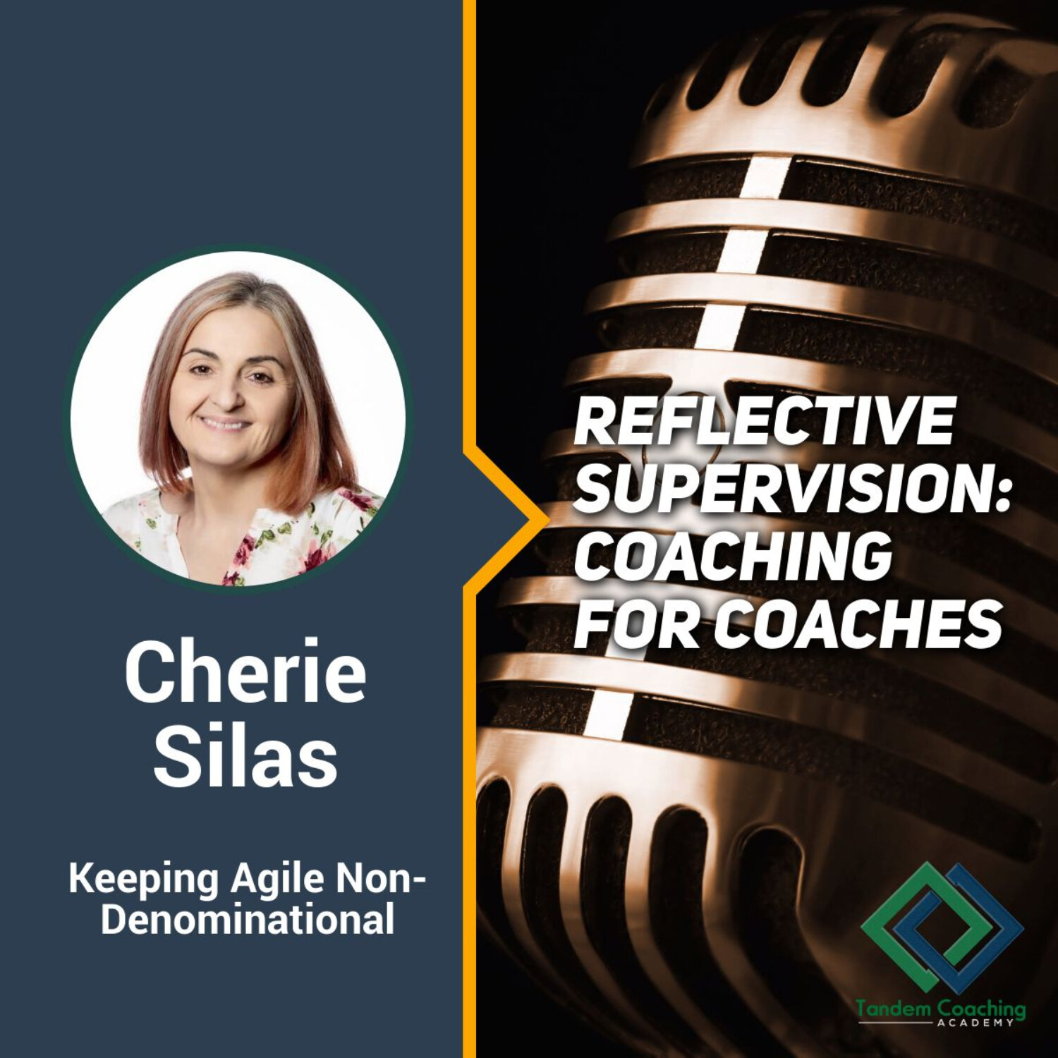 Bridging Agile and Professional Coaching Worlds