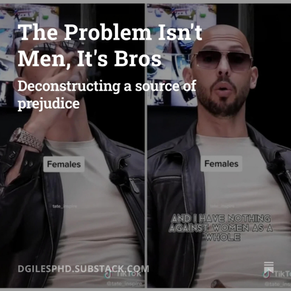 The Problem Isn’t Men, It’s Bros artwork