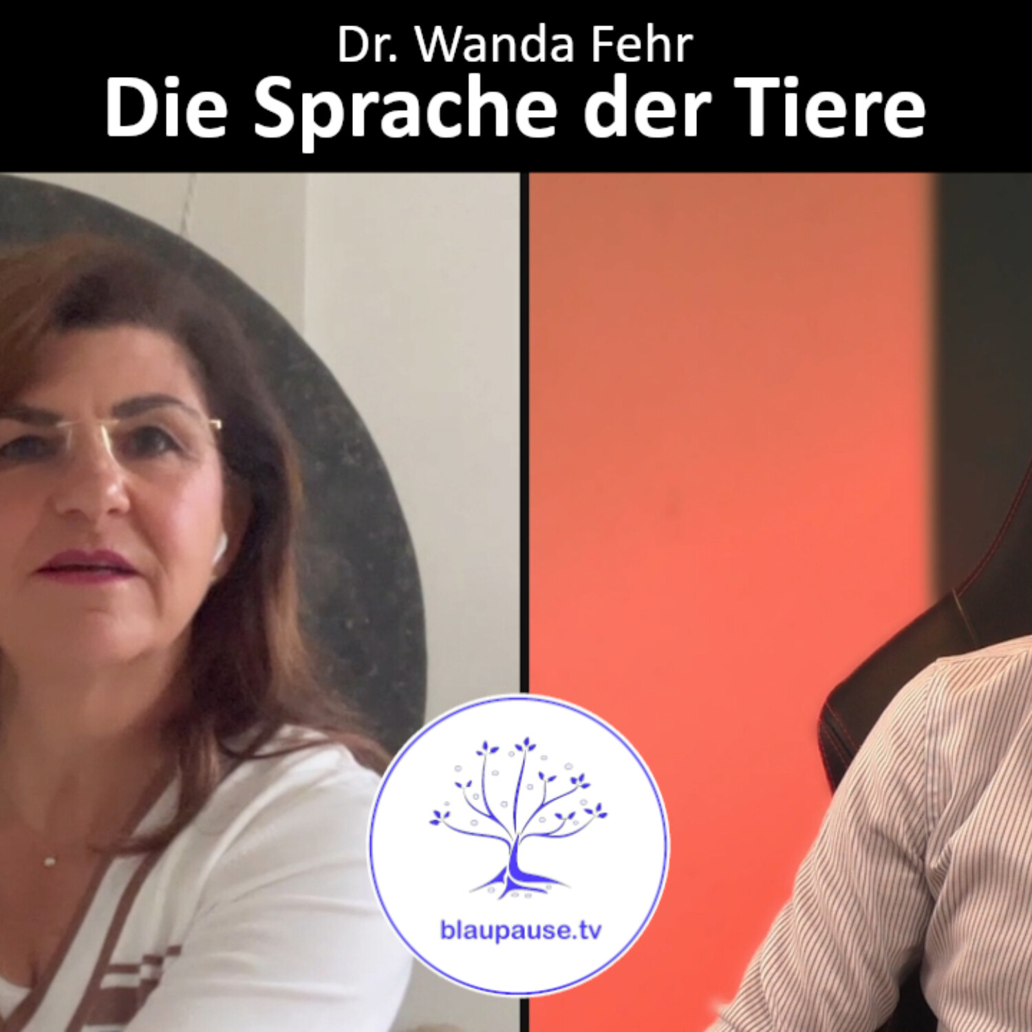 blaupause.tv - Informationen über Grenzthemen Out of the Box