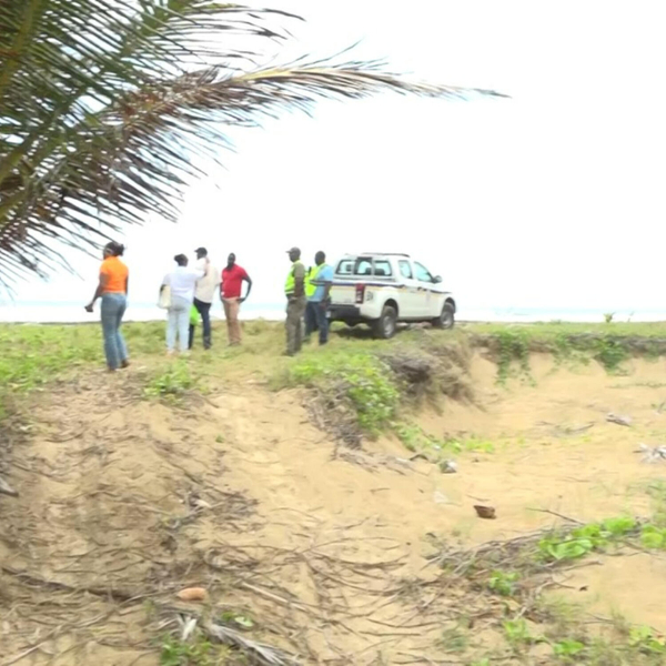 Illegal Sand Mining Discovered at Grande Anse Beach Wildlife Nesting Sites Damaged artwork