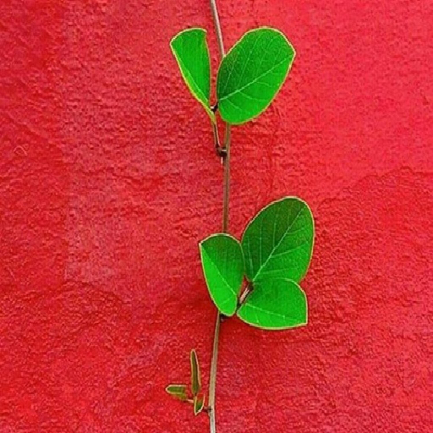 1123- لحظه ای که هیچ کس نبود