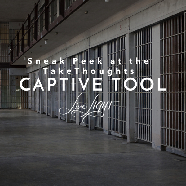 Sneak Peek at the Take Thoughts Captive Tool artwork