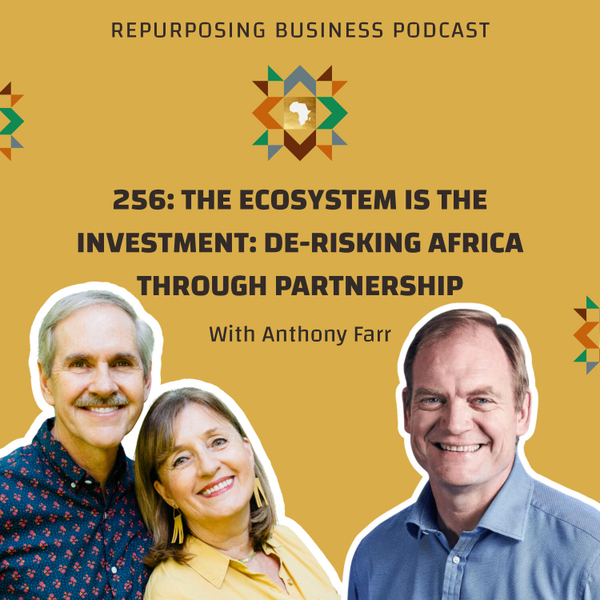256: The Ecosystem Is the Investment: De-Risking Africa Through Partnership with Anthony Farr artwork