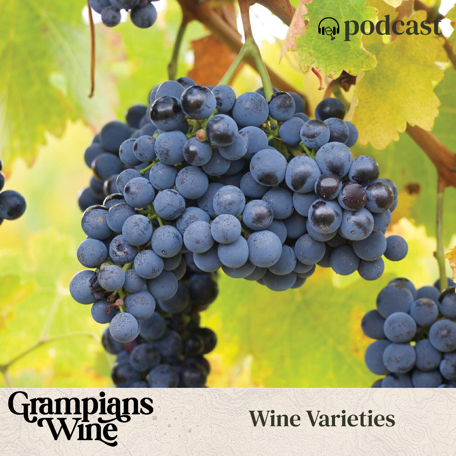 The Grampians Wine Podcast