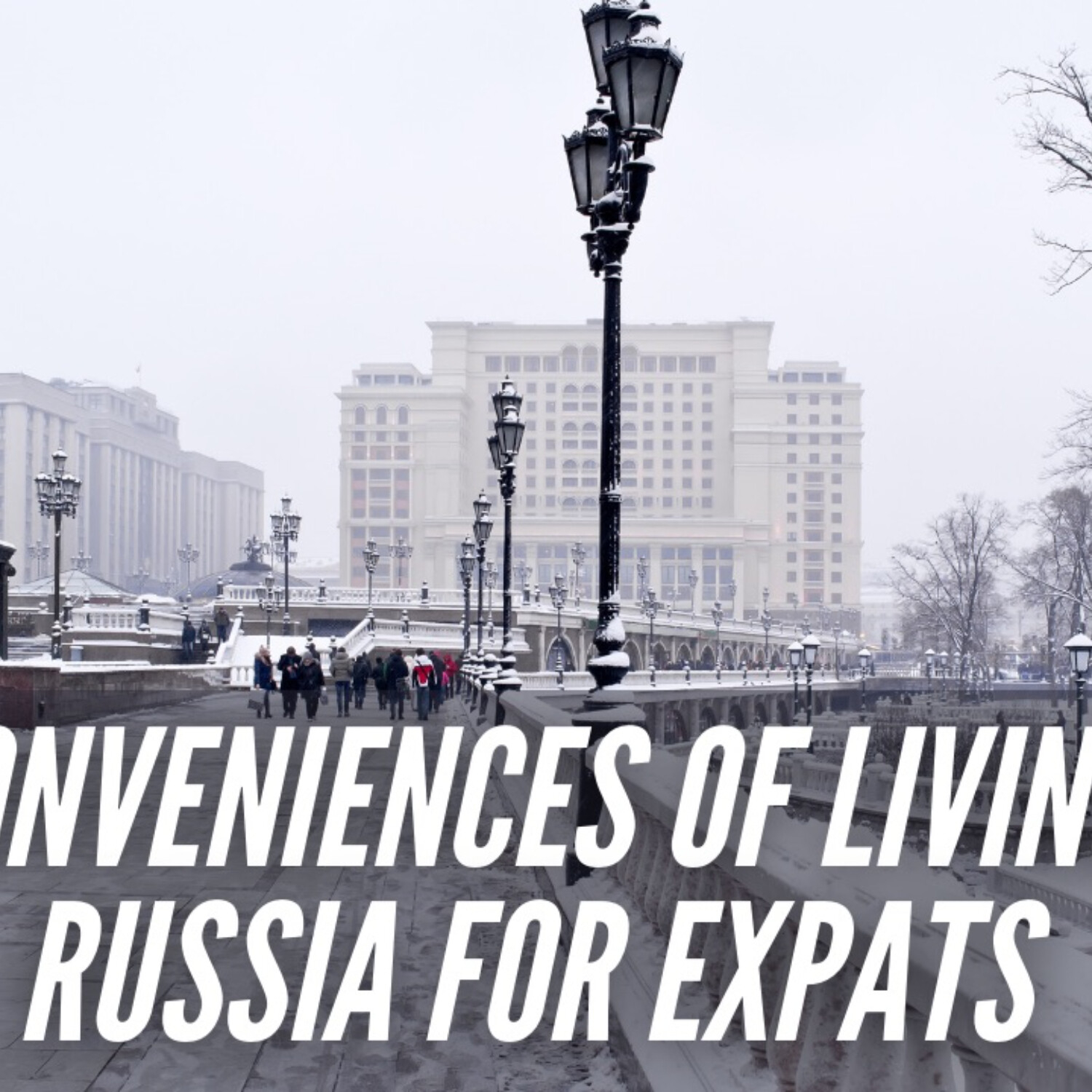 The Expat Edge