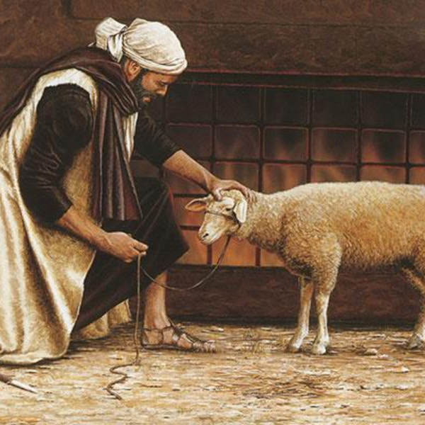 Leviticus: The Five Offerings PT 1 artwork