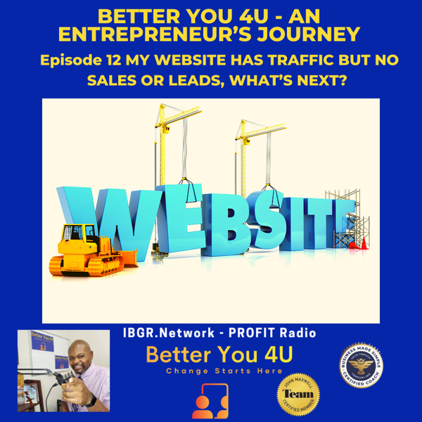 12.  MY WEBSITE HAS TRAFFIC BUT NO SALES OR LEADS, WHAT’S NEXT? - JAMES BRYANT artwork