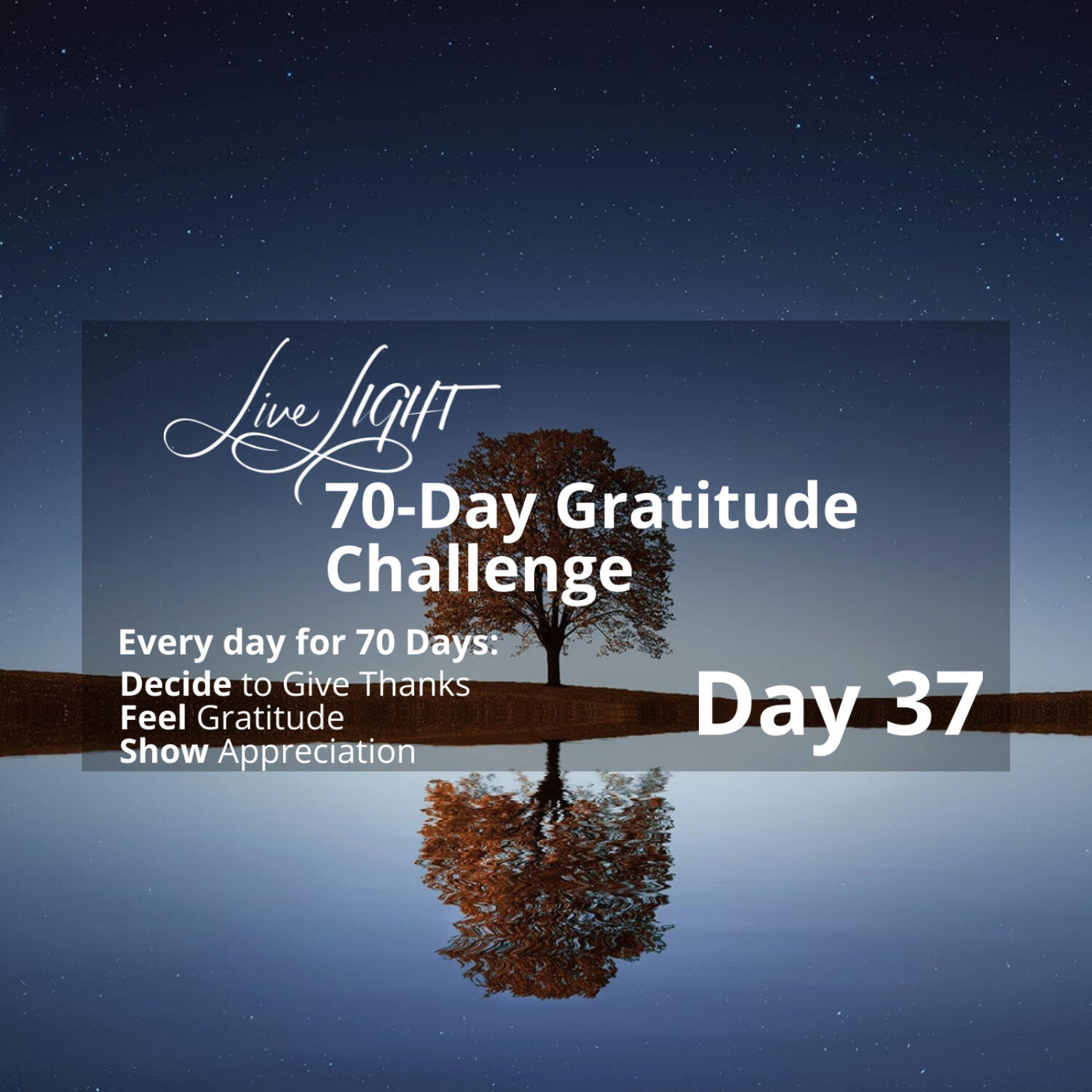 Gratitude Challenge Day 37 - Thoughtful Appreciation