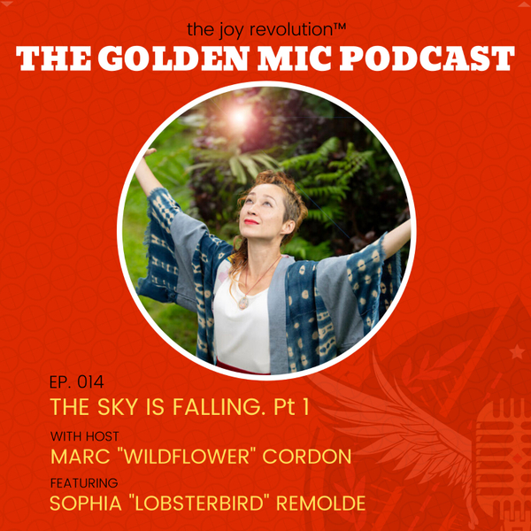 The Sky Is Falling...Pt 1 with Lobsterbird Sophia Remolde artwork