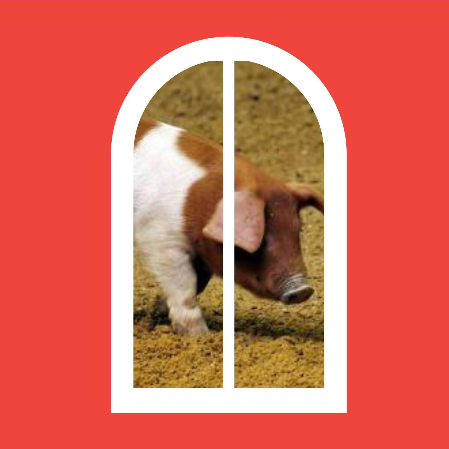 What The Denmark | Danish Culture for Expats, Internationals and Danes