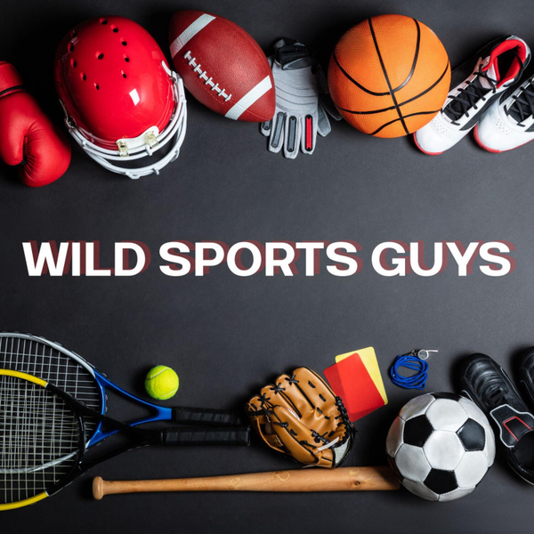 Wild Sports Guys artwork