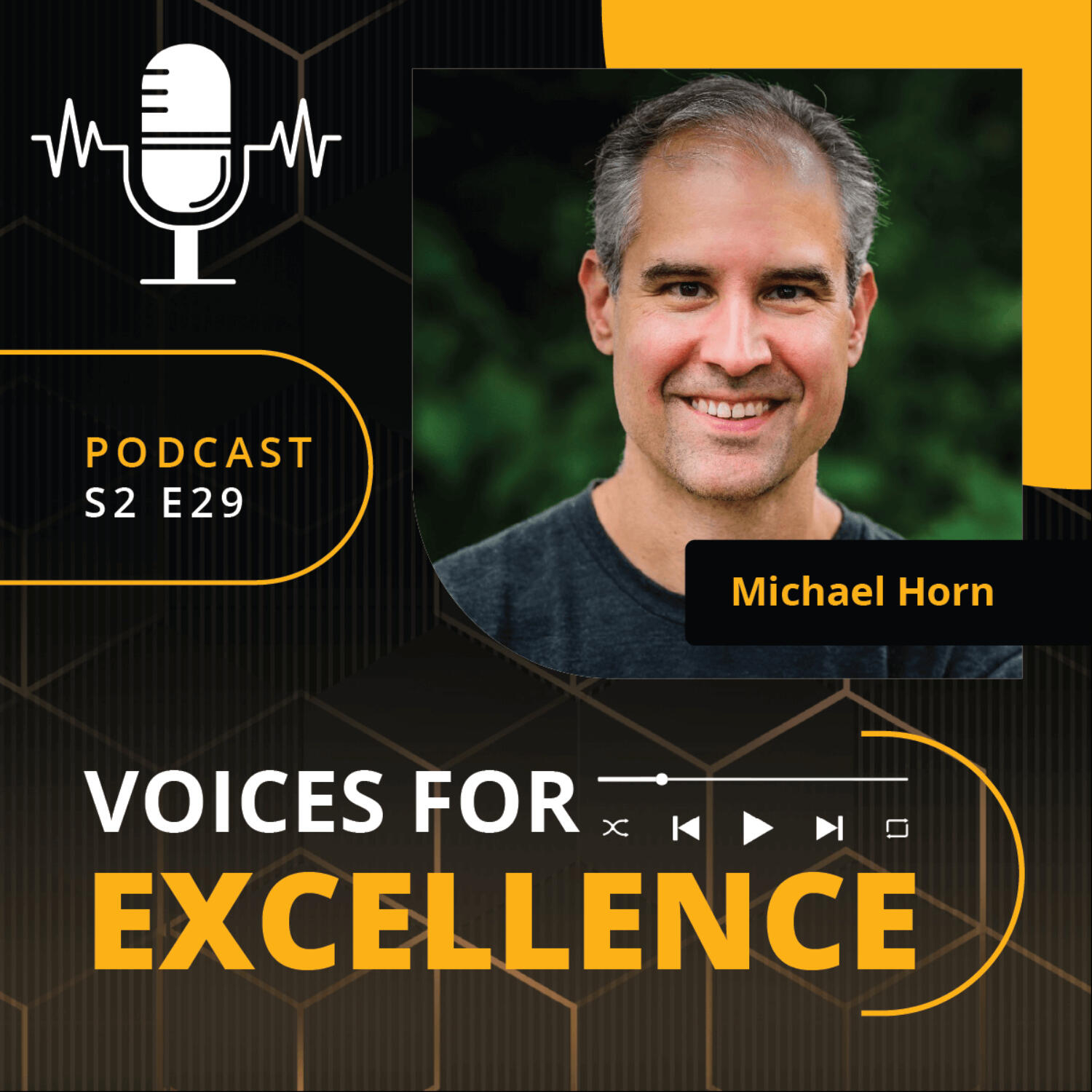 Voices for Excellence