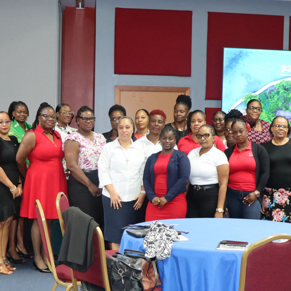 Health Professionals and Caregivers in Saint Lucia undergo training to Build Capacity in the Management of Diabetes artwork