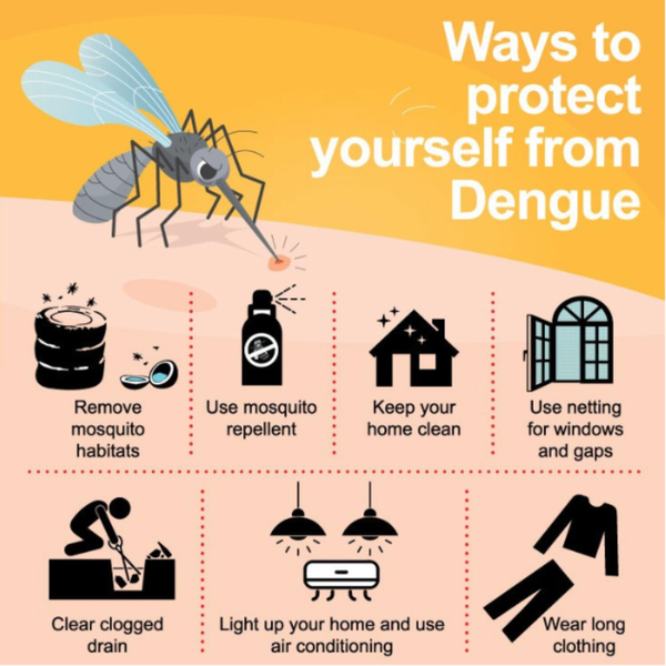 Environmental Health Division unveils multi-faceted approach to mosquito control amid dengue risks artwork