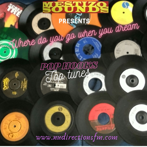 Mestizo Sounds Presents - Where Do You Go When You Dream  artwork