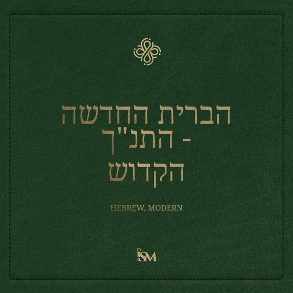 הברית החדשה - עברית (Hebrew, הברית החדשה) artwork
